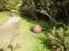 20200915133108-DSCN5814.JPG