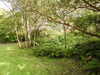 20200915133122-DSCN5815.JPG