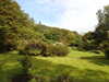 20200915133137-DSCN5816.JPG