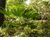 20200915133208-DSCN5818.JPG