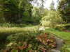 20200915133224-DSCN5819.JPG