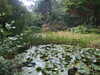 20200915133239-DSCF5634.JPG