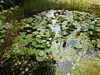 20200915133250-DSCN5821.JPG
