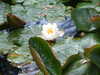 20200915133303-DSCF5637.JPG
