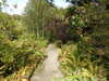 20200915133319-DSCN5824.JPG