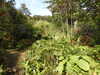 20200915133404-DSCN5825.JPG