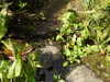 20200915133407-DSCN5826.JPG