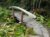 20200915133434-DSCN5827.JPG