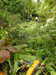 20200915133440-DSCN5828.JPG