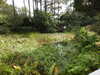 20200915133445-DSCN5829.JPG