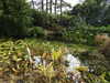 20200915133516-DSCN5832.JPG