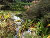 20200915133525-DSCN5833.JPG