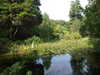 20200915133627-DSCF5645.JPG
