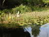 20200915133647-DSCN5837.JPG