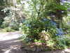 20200915133717-DSCN5839.JPG