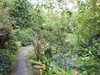 20200915133808-DSCN5840.JPG