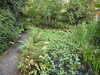 20200915133813-DSCN5841.JPG