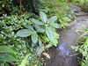 20200915133822-DSCN5842.JPG