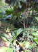 20200915133837-DSCN5843.JPG