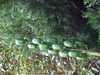 20200915133846-DSCF5646.JPG