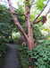 20200915133927-DSCN5847.JPG