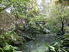 20200915133946-DSCN5848.JPG