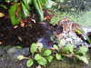 20200915133950-DSCN5849.JPG