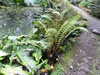 20200915134005-DSCN5851.JPG