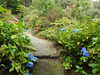 20200915134125-DSCN5856.JPG