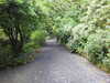 20200915134225-DSCN5860.JPG
