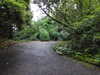 20200915134334-DSCN5862.JPG