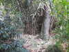 20200915134435-DSCN5863.JPG