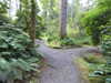 20200915134644-DSCN5865.JPG