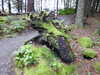 20200915134934-DSCN5866.JPG