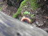 20200915134958-DSCN5868.JPG