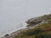 20200915135233-DSCN5874.JPG