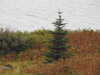 20200915135319-DSCN5876.JPG