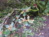 20200915140250-DSCN5885.JPG