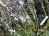 20200915140311-DSCN5886.JPG