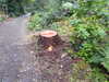 20200915140406-DSCN5888.JPG
