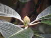 20200915140521-DSCN5890.JPG