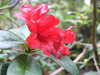 20200915140650-DSCF5651.JPG