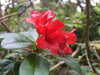 20200915140653-DSCF5652.JPG