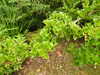 20200915140918-DSCN5895.JPG