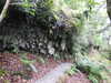 20200915140935-DSCN5898.JPG