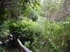 20200915141009-DSCN5900.JPG
