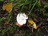 20200915141019-DSCN5902.JPG