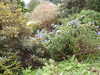 20200915141153-DSCN5904.JPG