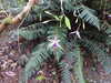 20200915141338-DSCN5909.JPG