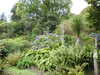 20200915141407-DSCN5910.JPG